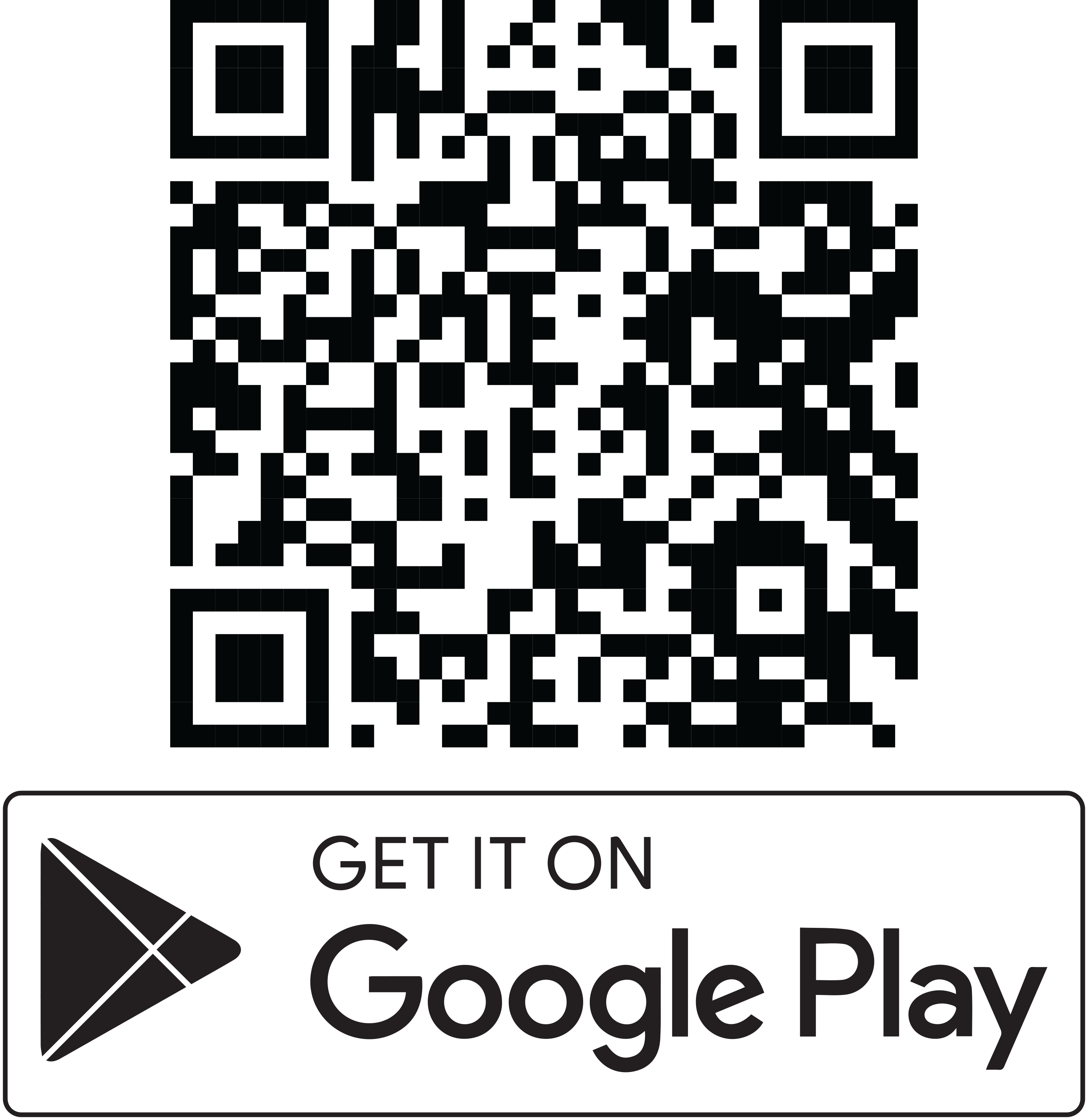Google Play Icon
